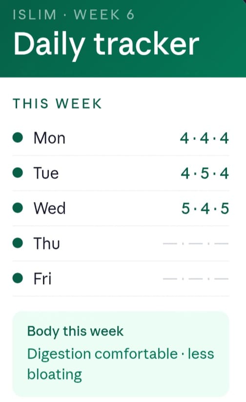 iSlim 3-Month Weight Balance Plan - Digital Planner